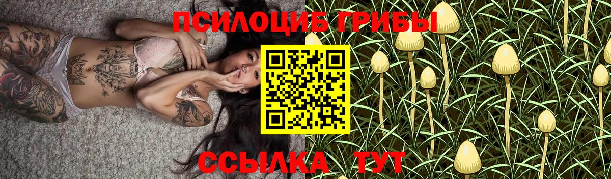 как найти наркотики  Галлюциногенные грибы мицелий  Вход с VPN  Воскресенск  Галлюциногенные грибы мицелий 